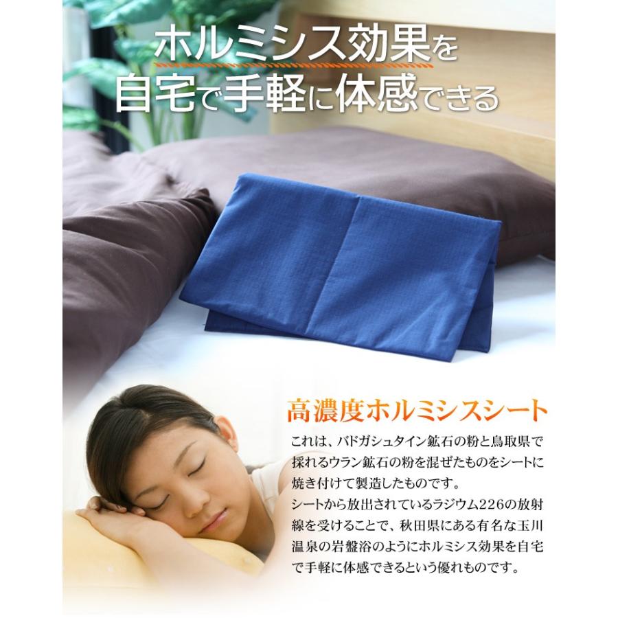 ホルミシスシート スーパー10 玉川温泉 岩盤浴 最高放射線量の ホルミシスシート スーパー10 玉川温泉 岩盤浴 最高放射線量の