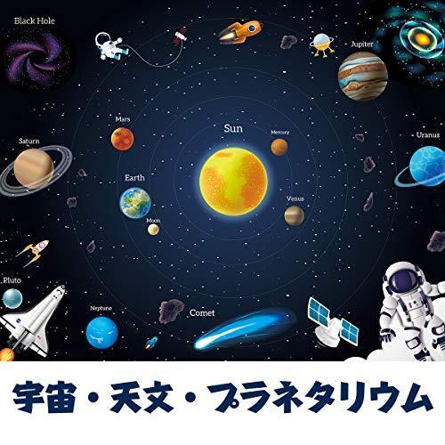 Remoking 宇宙世界 おもちゃ ロケットキット 女の子 男の子 おもちゃ クローリングマット 宇宙モデル 打ち上げる Diy 天体模型 天文学お 2l M086pyyrqd Kanta Store 通販 Yahoo ショッピング