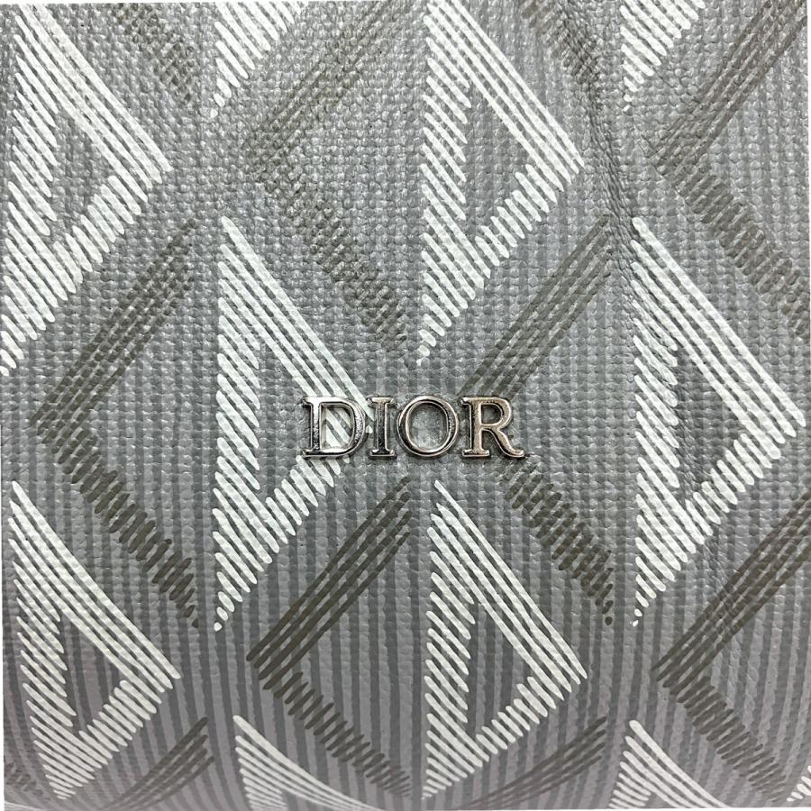 Christian Dior（クリスチャン・ディオール） CD Diamond SAFARI