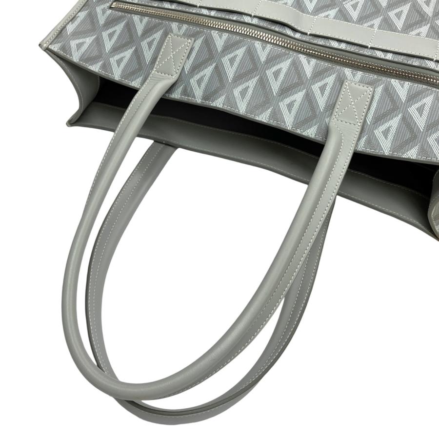 Christian Dior（クリスチャン・ディオール） CD Diamond SAFARI