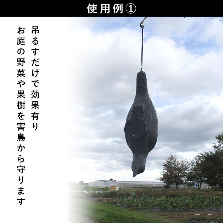 鳥よけ 鳥除け カラス 撃退 グッズ 害鳥 対策 からす 型 駆除 音響威嚇 ハト スズメ リモコン式 畑 家庭菜園 ゴミ置き場 鳥被害 電池式 センサー 叫ぶカラス Otg004 エクステリア関東 外構 門扉通販 通販 Yahoo ショッピング