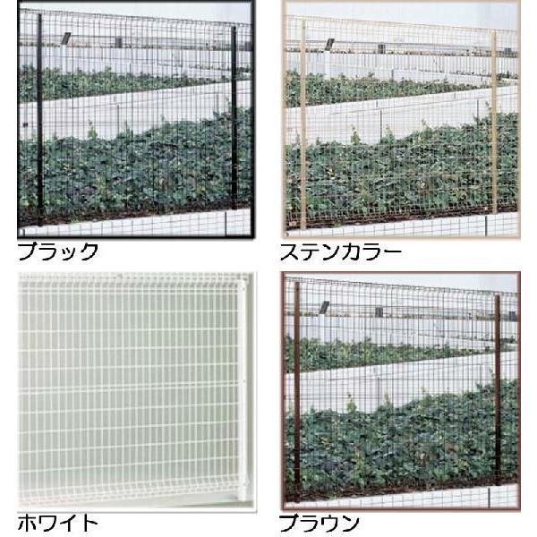 四国化成 メッシュフェンス スチールフェンス ネットフェンス 本体 1枚