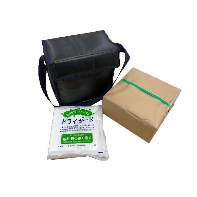 ドライアイス持ち運び用保冷バックｍｉｎｉ １０ｋｇ用 クーラーバッグ 氷点下クーラー Y 2 2 E 関東商事 通販 Yahoo ショッピング