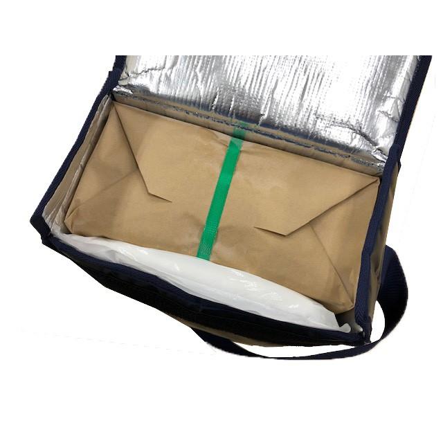 ドライアイス持ち運び用保冷バックｍｉｎｉ １０ｋｇ用 クーラーバッグ 氷点下クーラー Y 2 2 E 関東商事 通販 Yahoo ショッピング