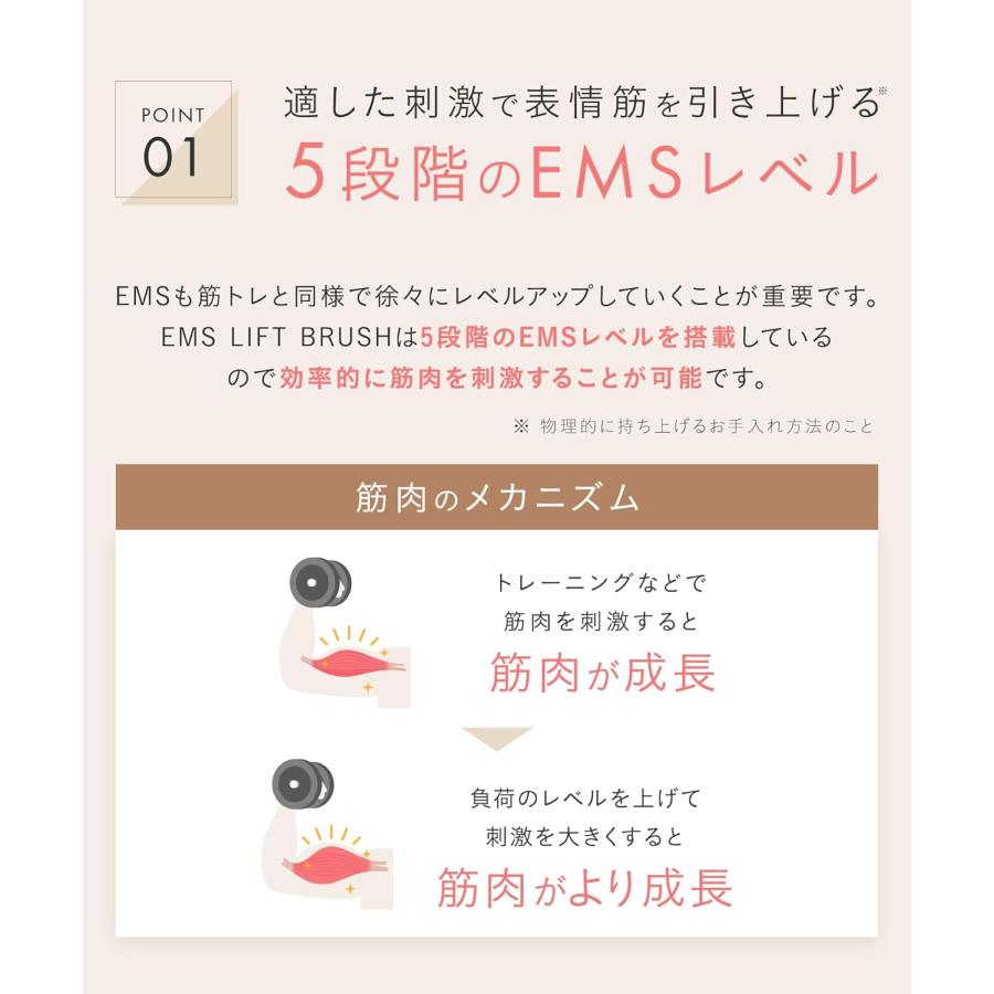SALONIA（サロニア） EMS リフトブラシ 電気ブラシ 美顔器 電動頭皮
