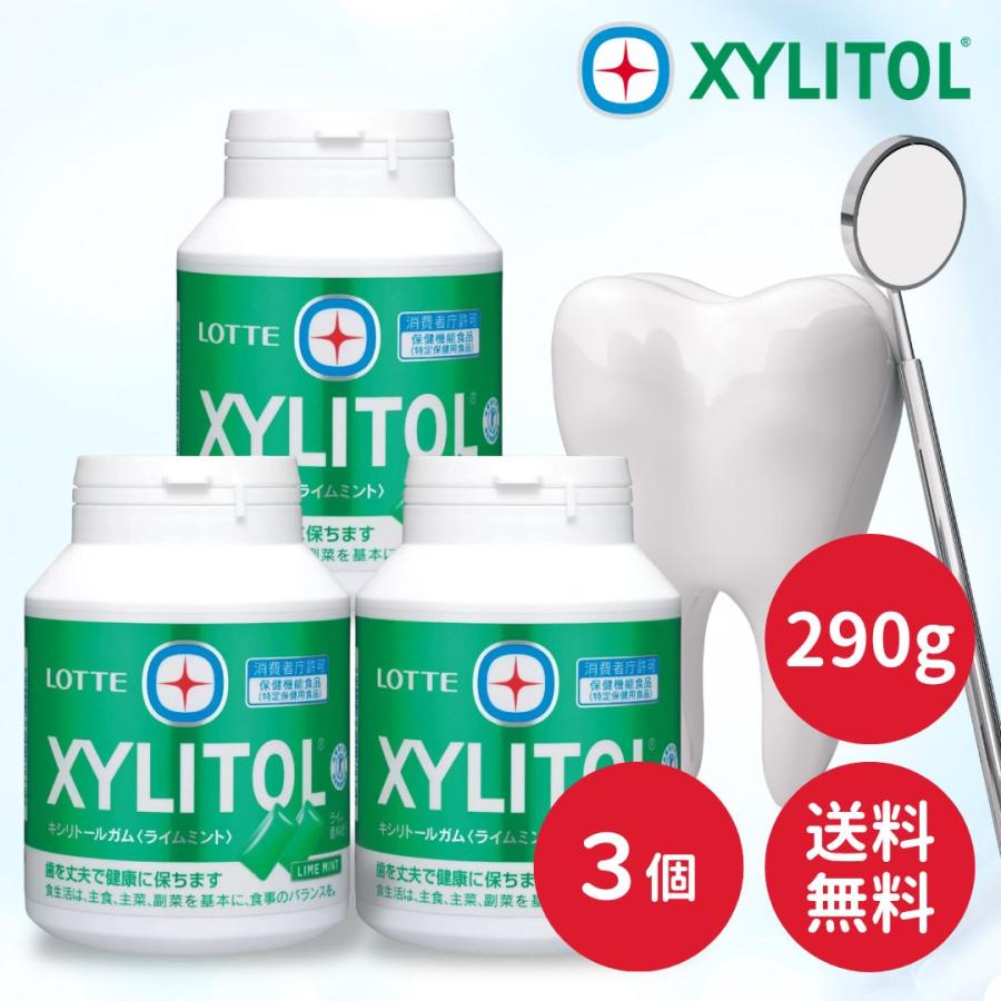 ［送料込］ロッテ　キシリトール　ボトルガム　3種　36個セット XYLITOL キシリトール ライムミント ガム 290g × 3個 大容量