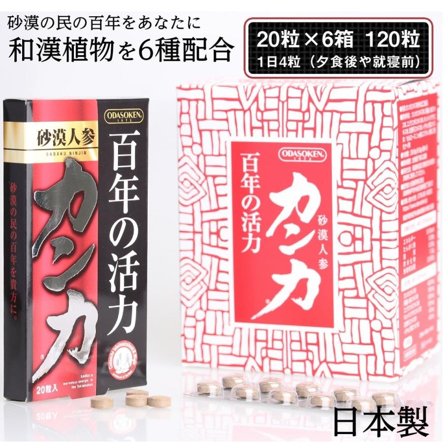 百年 活力 砂漠人参 カンカ【120粒入り】サプリ 高麗人参