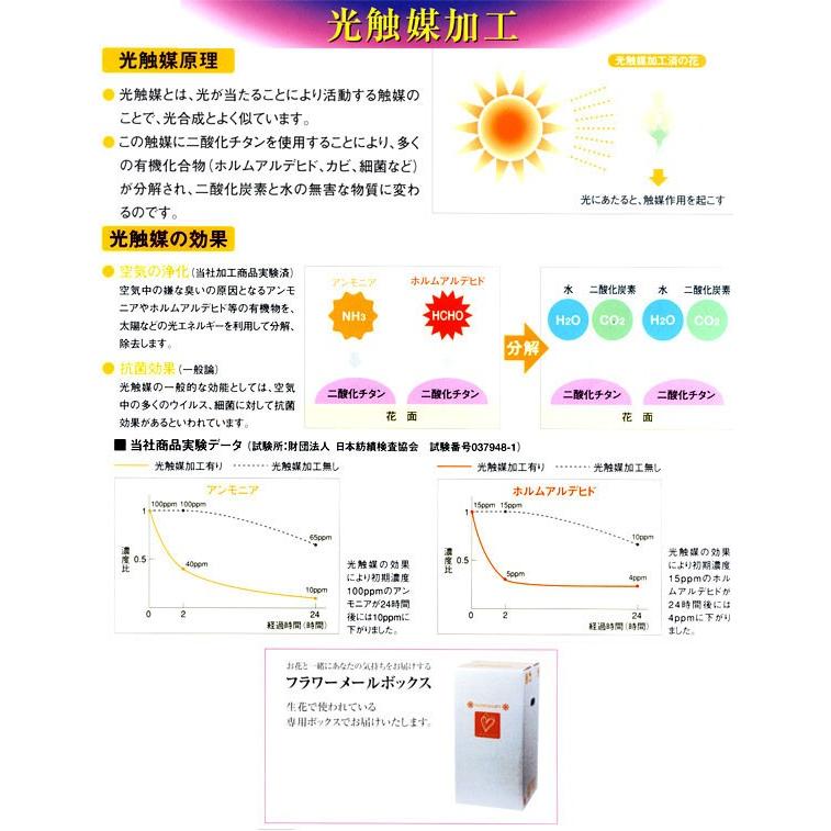 胡蝶蘭造花　光触媒加工済・ファレノ５本立　送料無料　『お悔やみ・葬儀・お供えの贈り物に』 |  | 02