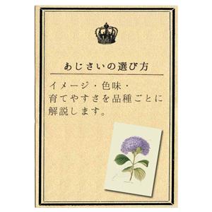 ブルーアース 碧い地球 母の日 達人のあじさい さかもと園芸 プレゼント 色変化アジサイ 鉢植え 鉢花 Ajisai Bluearth01 群馬の鉢花カオプストア 通販 Yahoo ショッピング