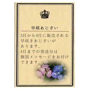 ブルーアース 碧い地球 母の日 達人のあじさい さかもと園芸 プレゼント 色変化アジサイ 鉢植え 鉢花 Ajisai Bluearth01 群馬の鉢花カオプストア 通販 Yahoo ショッピング