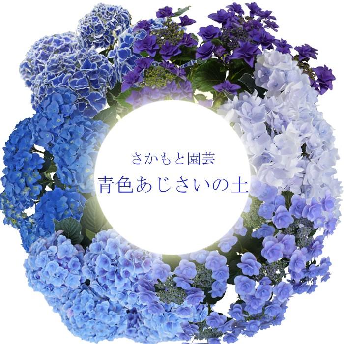 あじさい育種のオーソリティー さかもと園芸 達人のあじさい 青色あじさいの土 ５リットル イイハナ1187円 限定予約販売100袋 Asisai Blue Soil01 群馬の鉢花カオプストア 通販 Yahoo ショッピング