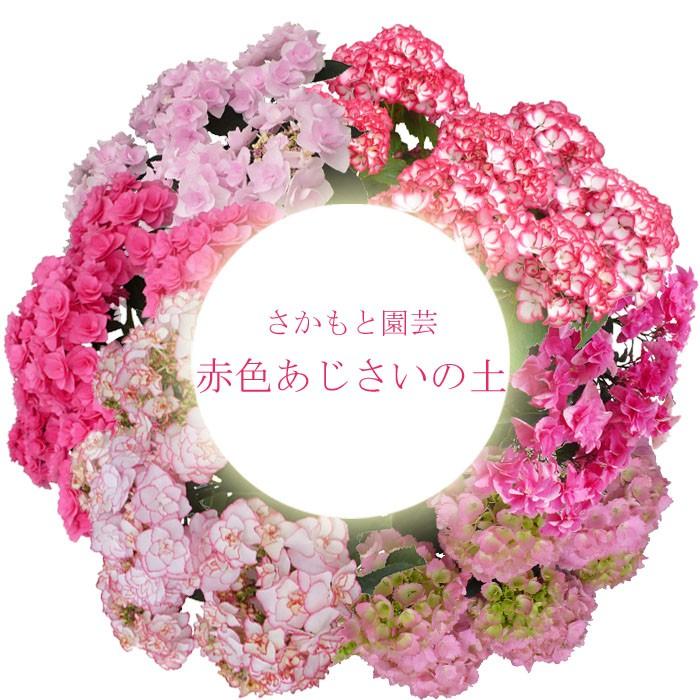 あじさい育種のオーソリティー　さかもと園芸　達人のあじさい　赤色あじさいの土　５リットル【限定予約販売100袋】 |  | 01