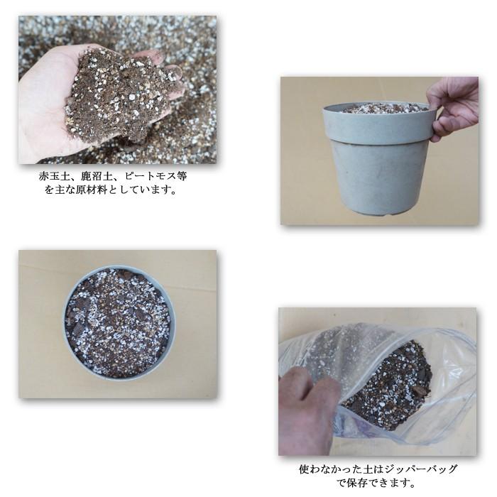 あじさい育種のオーソリティー　さかもと園芸　達人のあじさい　赤色あじさいの土　５リットル【限定予約販売100袋】 |  | 04