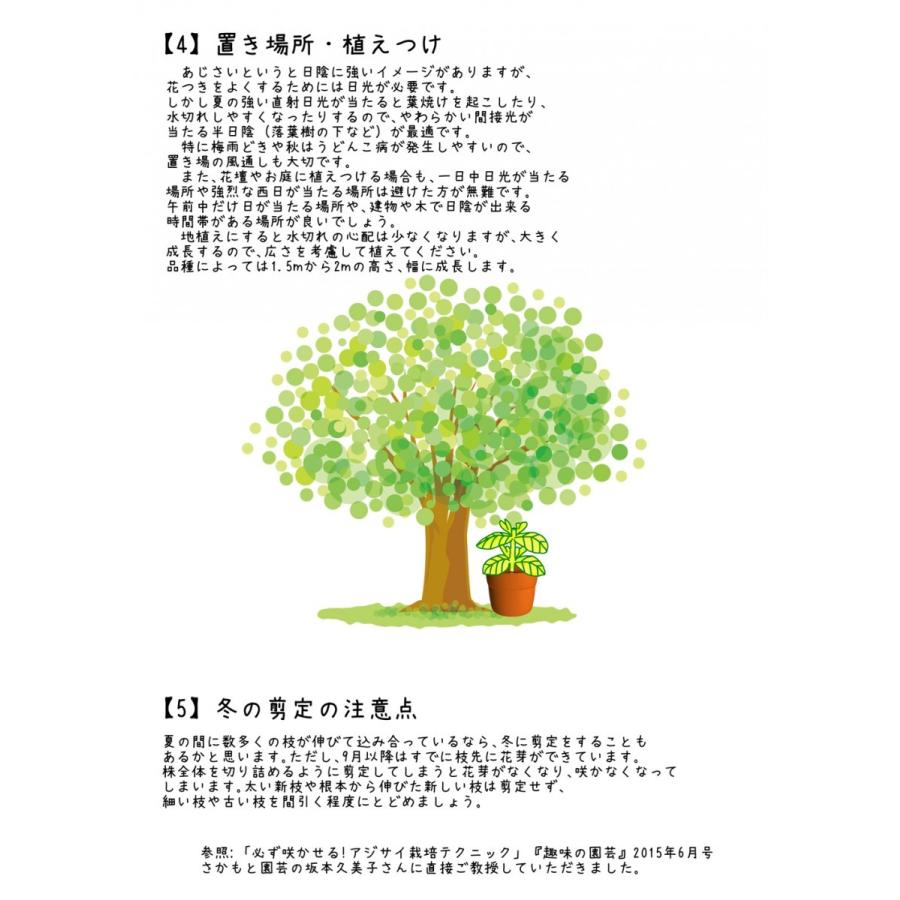 あじさい育種のオーソリティー　さかもと園芸　達人のあじさい　赤色あじさいの土　５リットル【限定予約販売100袋】 |  | 07