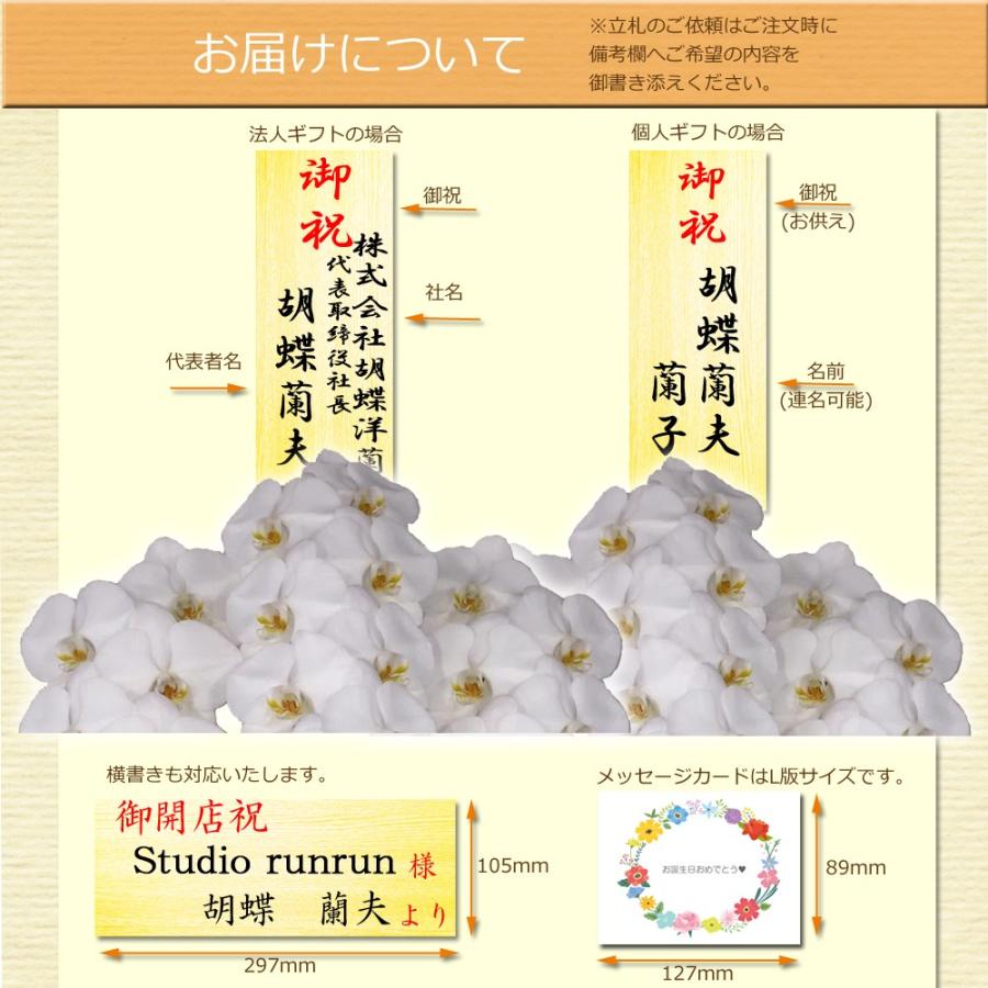 胡蝶蘭 富澤洋蘭園 白大輪 3本立ち 28輪以上 蕾含む ギフト プレゼント お祝い お悔み 鉢花 鉢植え フラワー 蘭 当選 御祝 Orchid 3l 30 群馬の鉢花カオプストア 通販 Yahoo ショッピング