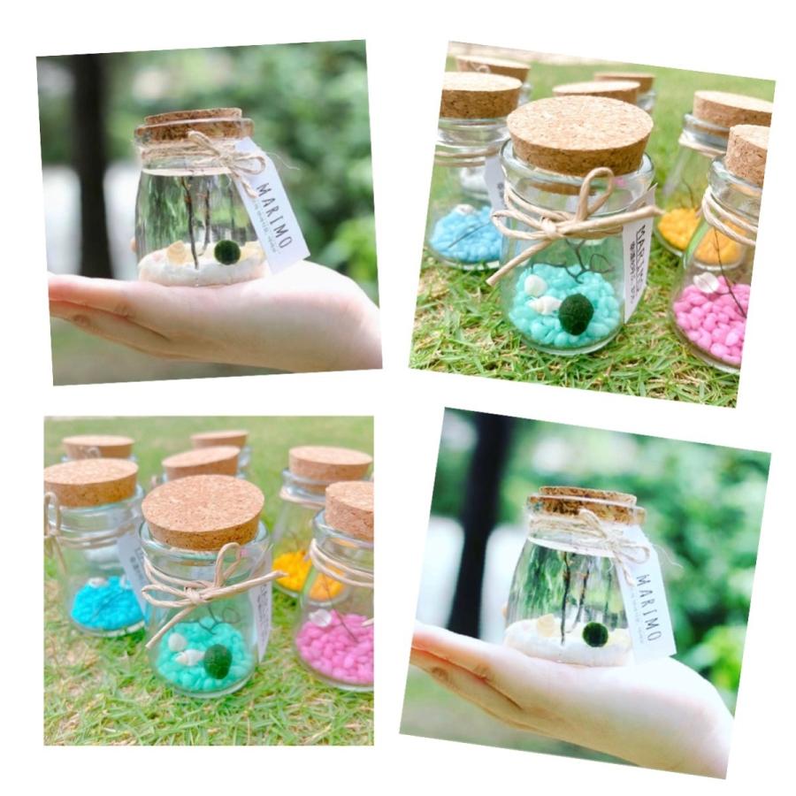 まりも 北海道の商品一覧 通販 Yahoo ショッピング