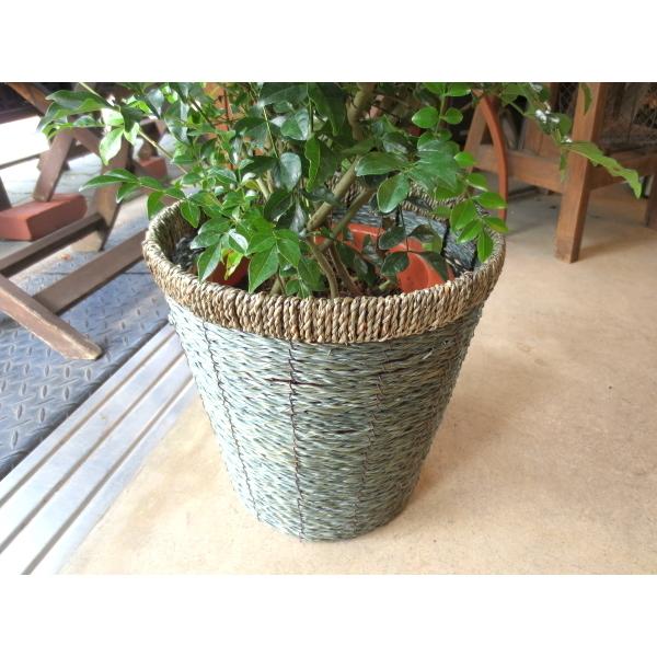 バスケット鉢カバー ダークブルー 8号鉢サイズ 観葉植物 花鉢 プレゼント ギフト 誕生日 開店祝い 鉢かご 鉢カゴ 8098 01 薫る花 通販 Yahoo ショッピング