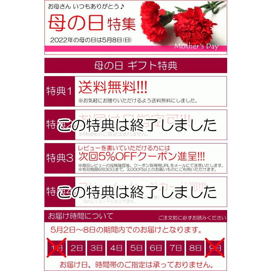 アジサイ ダンスパーティー ピンク色 5号鉢サイズ 鉢植え 花 フラワー 鉢花 プレゼント ギフト 紫陽花 あじさい ハイドランジア 母の日特集 22年 Danceparty 01 薫る花 通販 Yahoo ショッピング