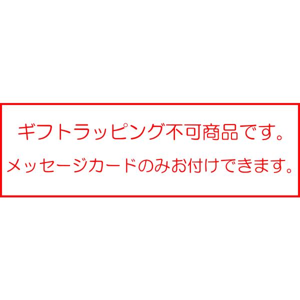 お正月飾り ゴージャスグリーン NYナチュラルしめ縄 注連縄 しめ飾り 水引飾り お正月リース NY325 薫る花 おしゃれ モダン ナチュラル 玄関ドア 材料 手作り｜kaoruhana｜05