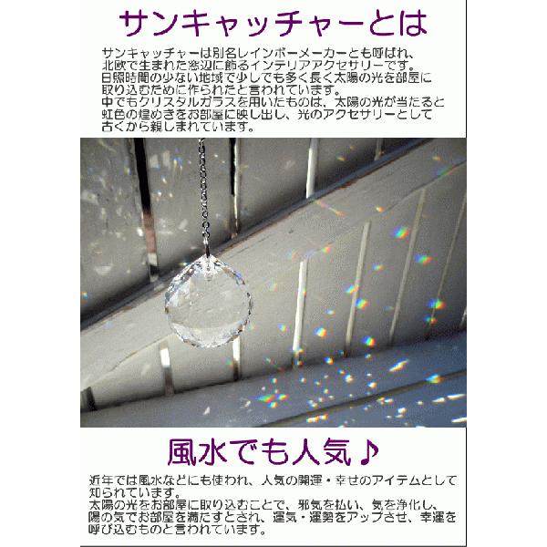 SWAROVSKI（スワロフスキー） クリスタル（オーロラ）とエアープランツ