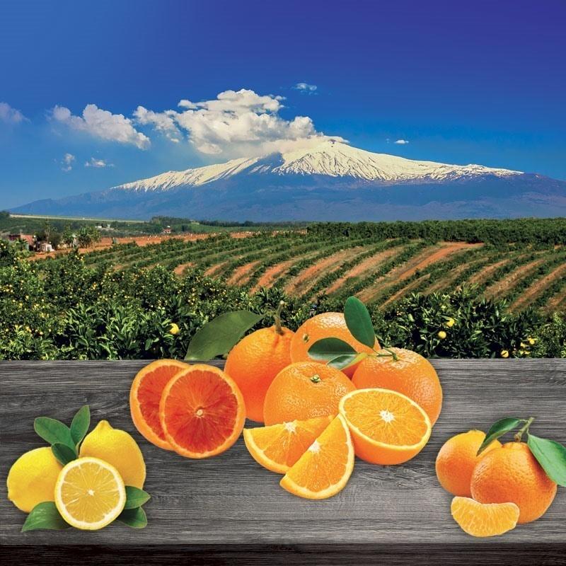 ブラッドオレンジジュース オランフリーゼル 1000g 冷凍 タロッコ juice イタリア シチリア｜kappa-chianti｜11