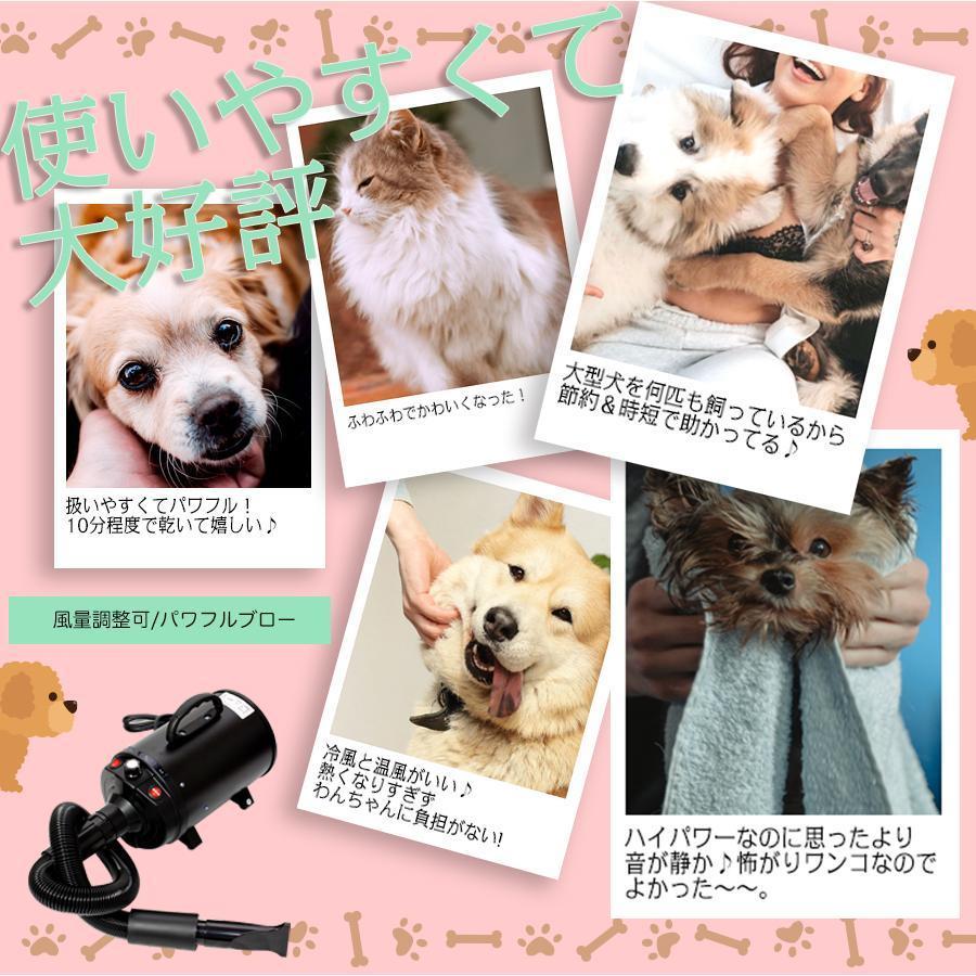 新春SALE！ ペットドライヤー ペット用 業務用 犬 ペットヘアードライヤー 大型犬 ブロワー 無段階速度制御 送風機 3つノズル付き 強力 静か 静音 【2269892202】(11892円)