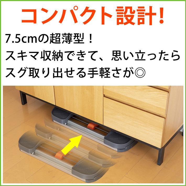 AEROLIFE（エアロライフ） 内転筋コアエクサ 内転筋 トレーニング