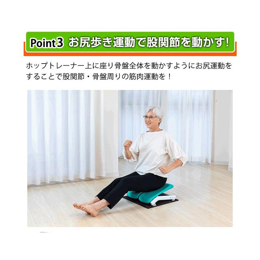 AEROLIFE（エアロライフ） ステッパー ホップトレーナー DR-3810 1年