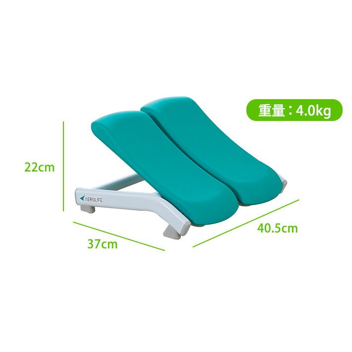 AEROLIFE（エアロライフ） ステッパー ホップトレーナー DR-3810 1年