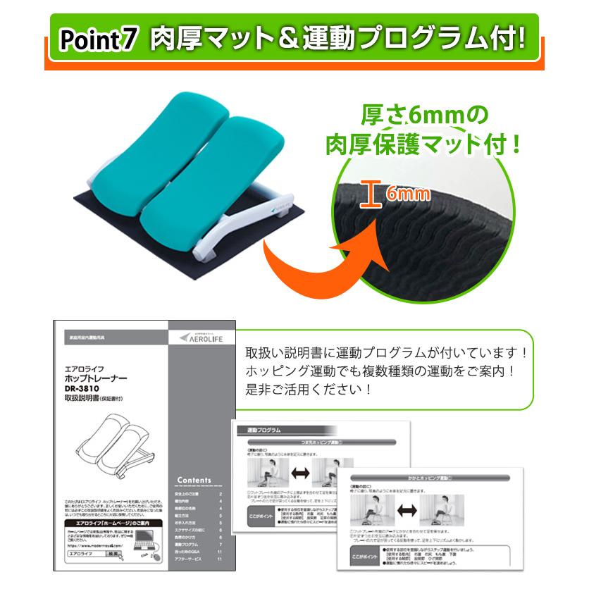 AEROLIFE（エアロライフ） ステッパー ホップトレーナー DR-3810 1年