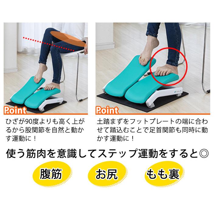 エアロライフ★ホップトレーナー★座ったままOK、ステッパー★ AEROLIFE（エアロライフ） ステッパー ホップトレーナー DR-3810 1年