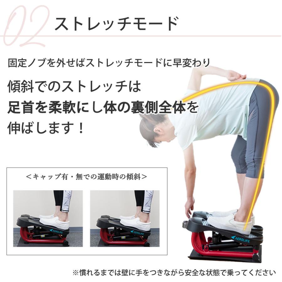AEROLIFE（エアロライフ） ステッパー ストレッチステッパー 足ふみ 筋
