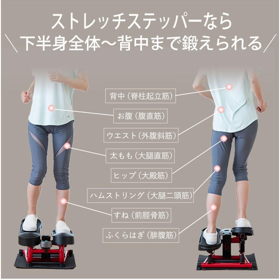 AEROLIFE（エアロライフ） ステッパー ストレッチステッパー 足ふみ 筋