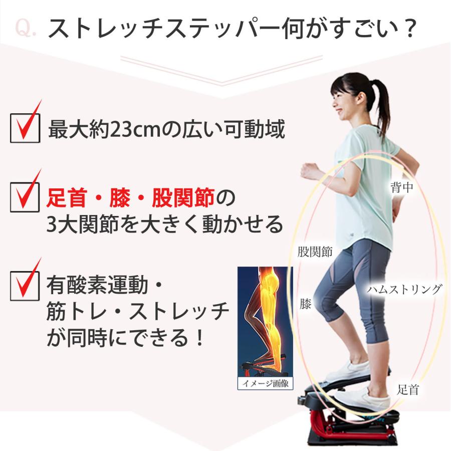 AEROLIFE（エアロライフ） ステッパー ストレッチステッパー 足ふみ 筋