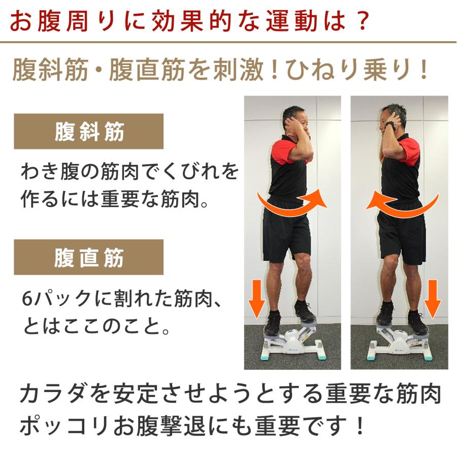 AEROLIFE（エアロライフ） サイドステッパー プレミアムライト70