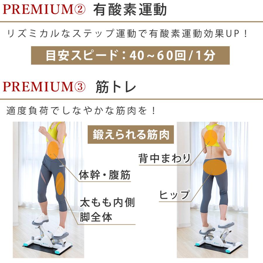 AEROLIFE（エアロライフ） サイドステッパー プレミアムライト70