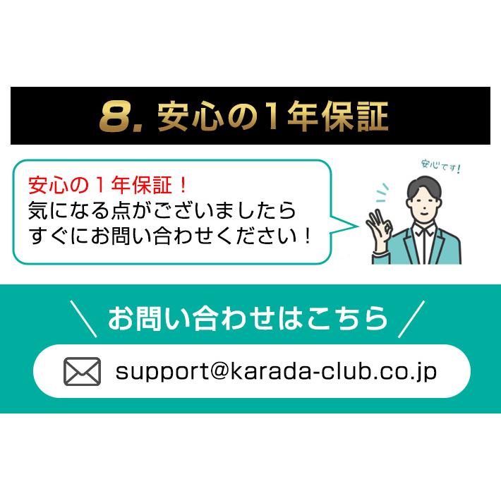AEROLIFE（エアロライフ） ステッパー 不可調整 THE MAX20 ステッパー 