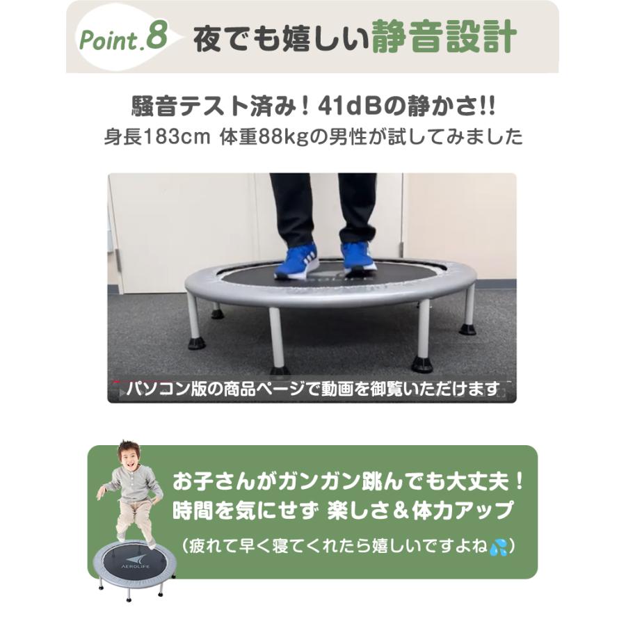 AEROLIFE（エアロライフ） トランポリン 102cm 8本脚 適応体重120kg DR