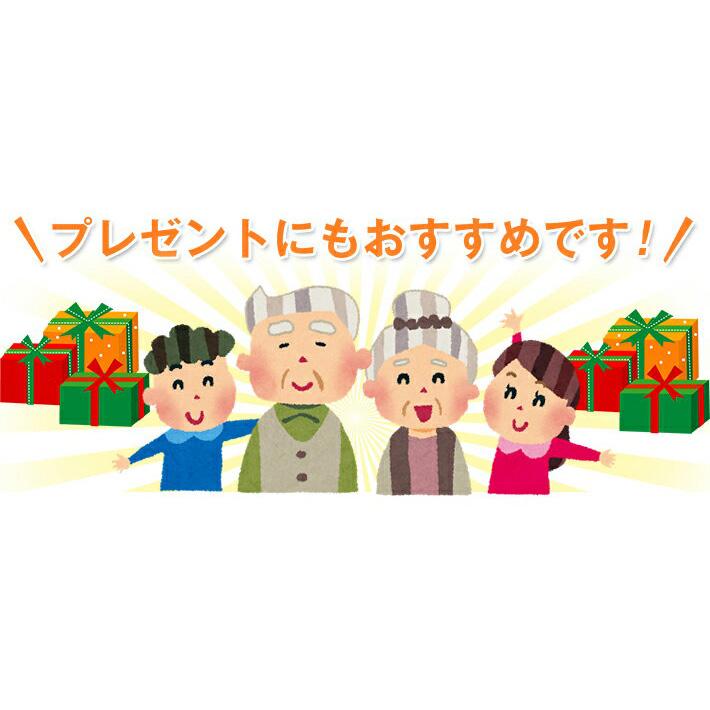 ひだまり 陽 上下 セット 防寒インナー 防寒 肌着 S M L LL メンズ