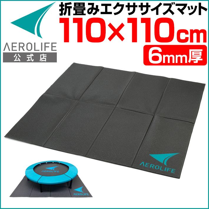 AEROLIFE（エアロライフ） 大判エクササイズマット DR-0600 110x1100