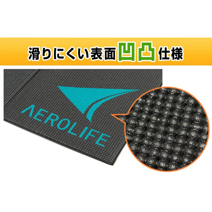 AEROLIFE（エアロライフ） 大判エクササイズマット DR-0600 110x1100