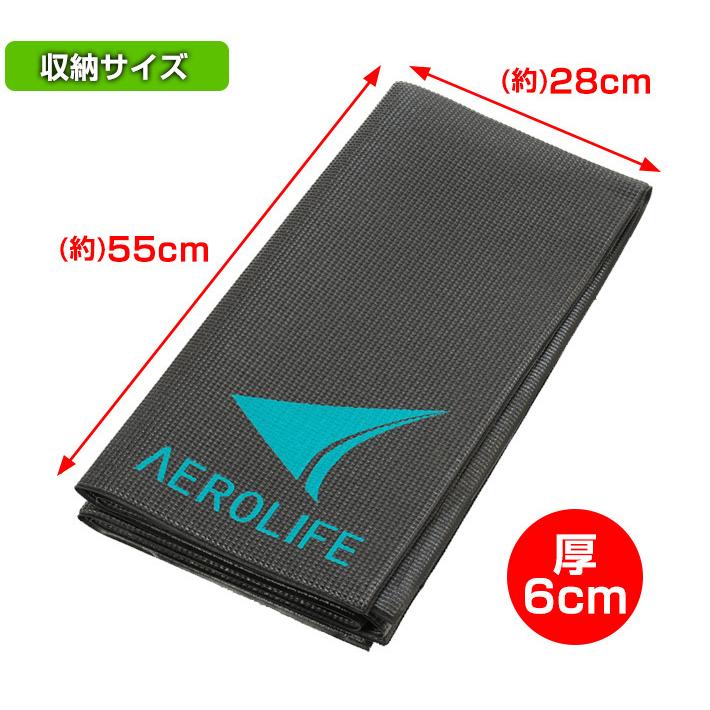 AEROLIFE（エアロライフ） 大判エクササイズマット DR-0600 110x1100