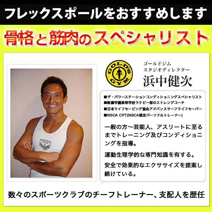 AEROLIFE フレックスポール エアロライフ ヨガポール 曲がる AEROLIFE フレックスポール エアロライフ ヨガポール 曲がる