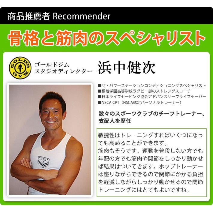 AEROLIFE（エアロライフ） ステッパー ホップトレーナー 1年保証