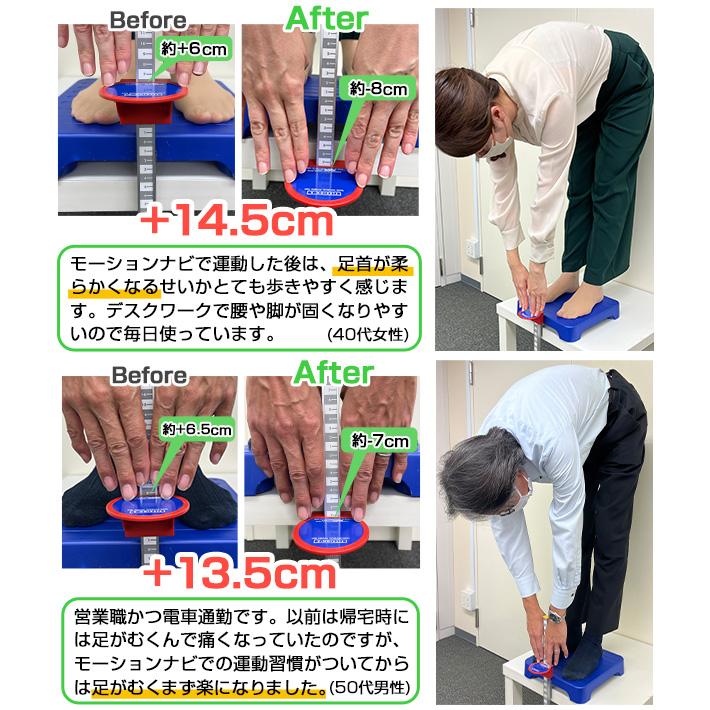 ステッパー モーションナビ 足踏み 健康器具 ダイエット 1年保証  足ふみ 運動器具 座ったまま ステップ エアロライフ 健康ステッパー | AEROLIFE | 12