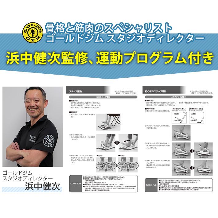 ステッパー モーションナビ 足踏み 健康器具 ダイエット 1年保証  足ふみ 運動器具 座ったまま ステップ エアロライフ 健康ステッパー | AEROLIFE | 15