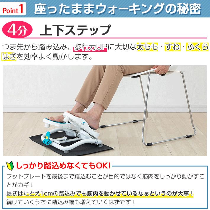 AEROLIFE（エアロライフ） ステッパー モーションナビ 足踏み 健康器具