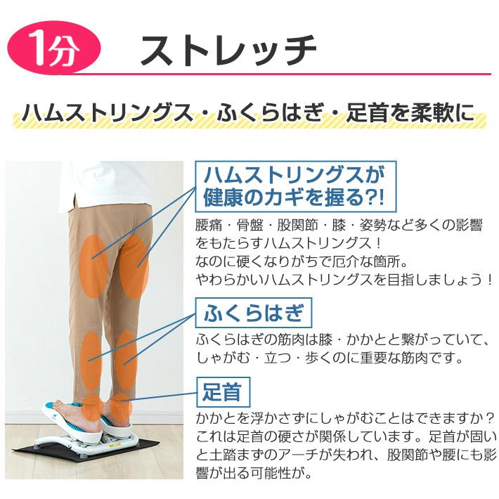 ステッパー モーションナビ 足踏み 健康器具 ダイエット 1年保証  足ふみ 運動器具 座ったまま ステップ エアロライフ 健康ステッパー 座ってできる 下半身強化｜karada-club｜10