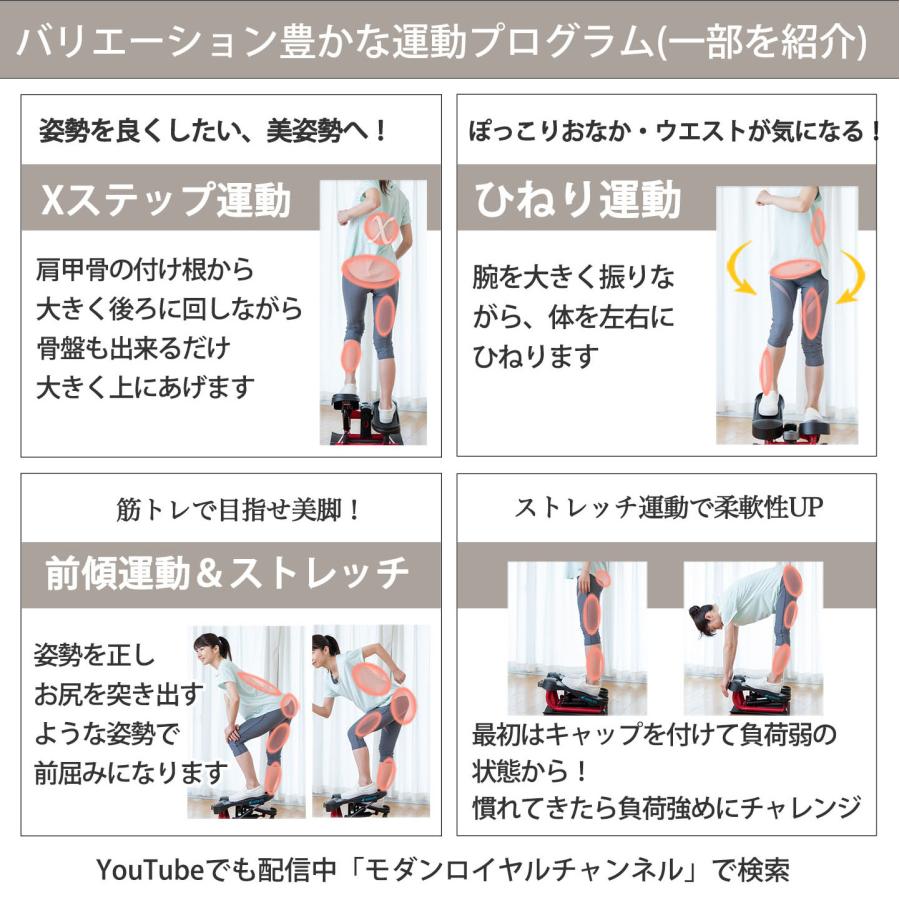 AEROLIFE（エアロライフ） ステッパー ストレッチステッパー 足踏み