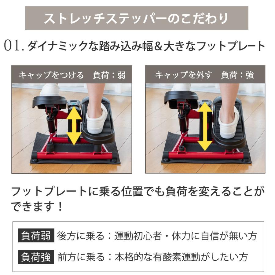 AEROLIFE（エアロライフ） ステッパー ストレッチステッパー 足踏み